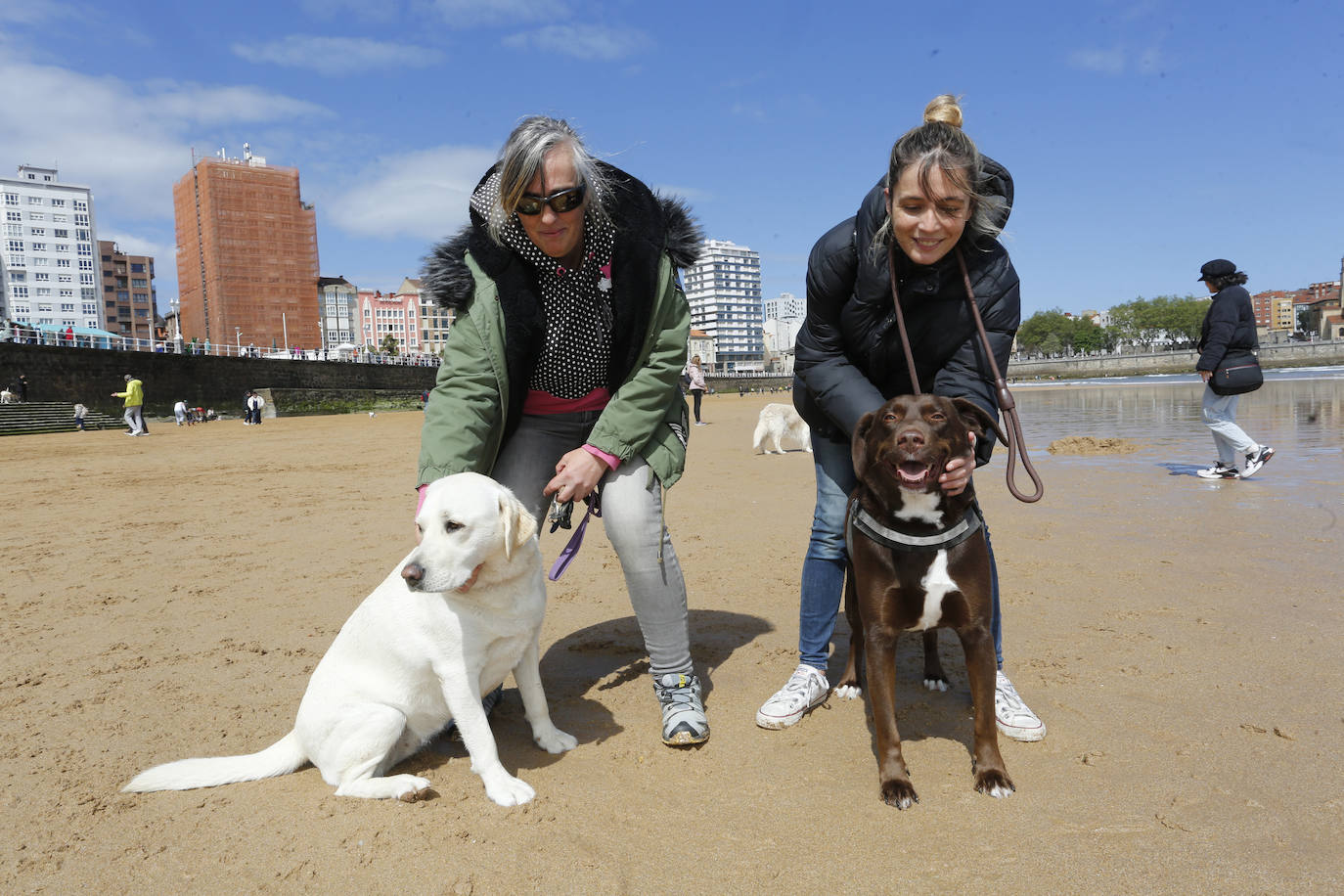 Los perros se despiden de San Lorenzo