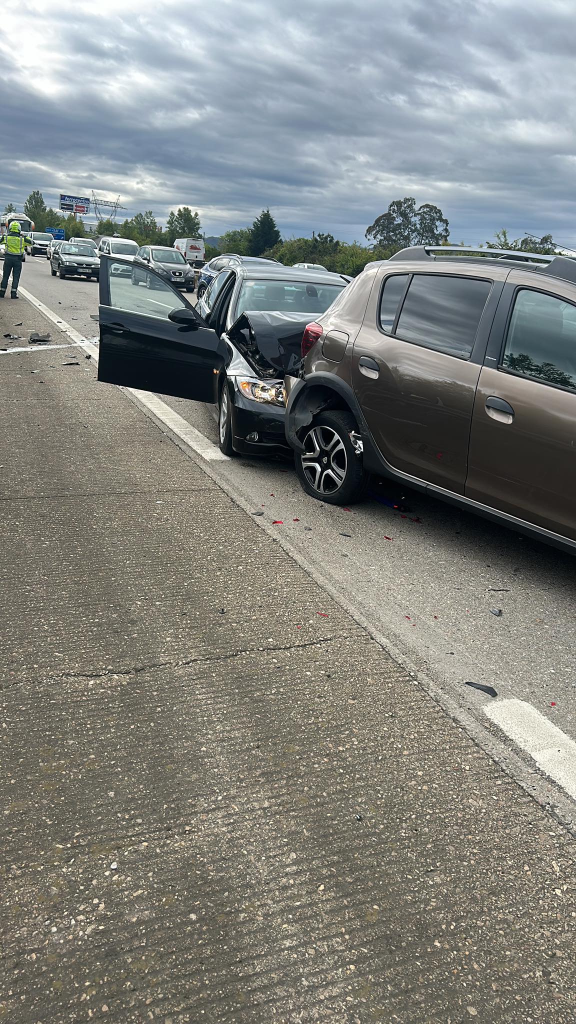 Susto en la A-64, a la altura de Parque Principado, por un perro desorientado