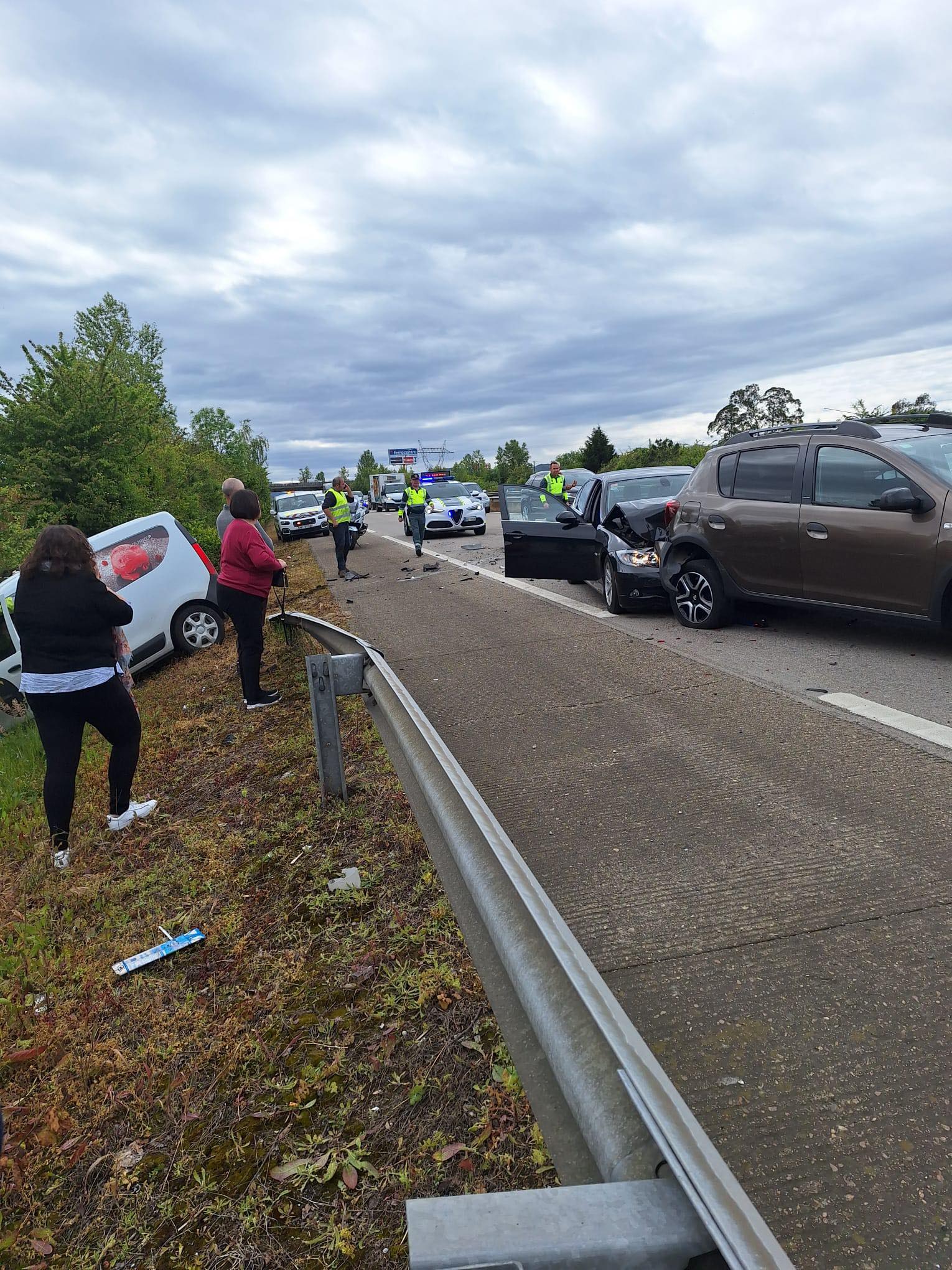 Susto en la A-64, a la altura de Parque Principado, por un perro desorientado