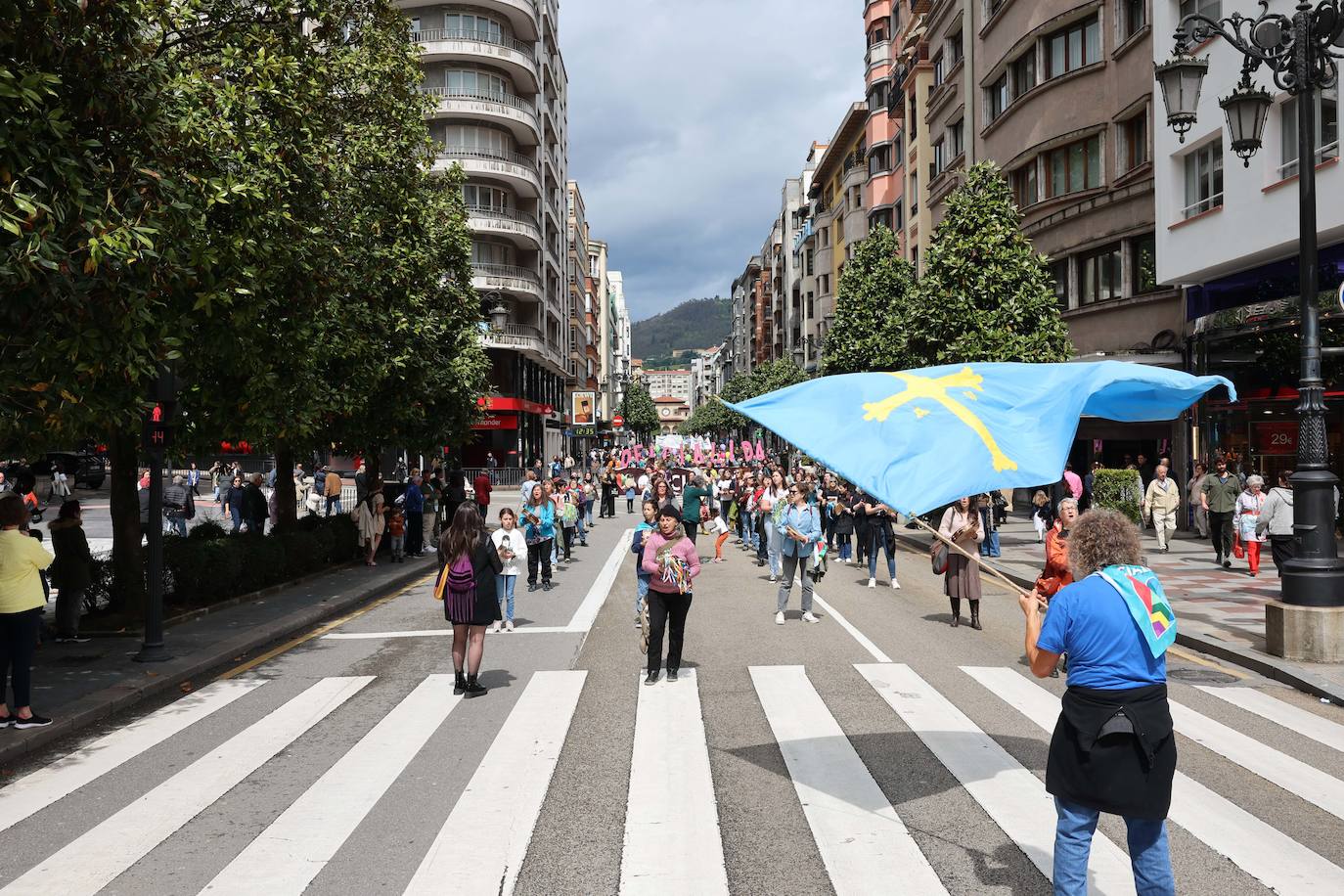 Las imágenes que deja la manifestación en Oviedo por la oficialidad del asturiano