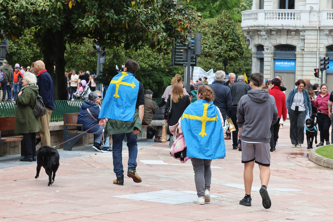 Las imágenes que deja la manifestación en Oviedo por la oficialidad del asturiano