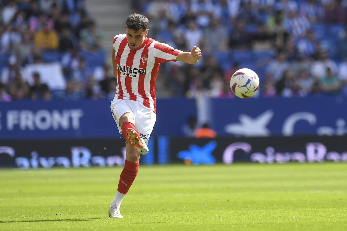 Las imágenes que deja el partido entre el Espanyol y el Sporting de Gijón