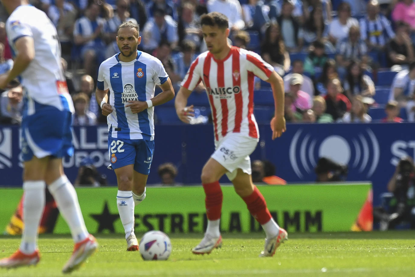 Las imágenes que deja el partido entre el Espanyol y el Sporting de Gijón