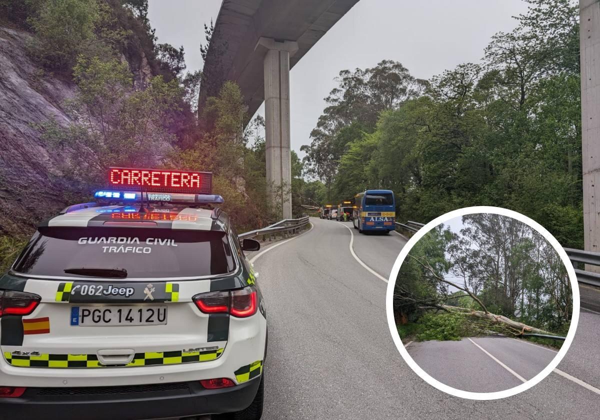 La Guuardia Civil desplazada a la zona; Abajo a la derecha el eucalipto que cayó en la carretera.