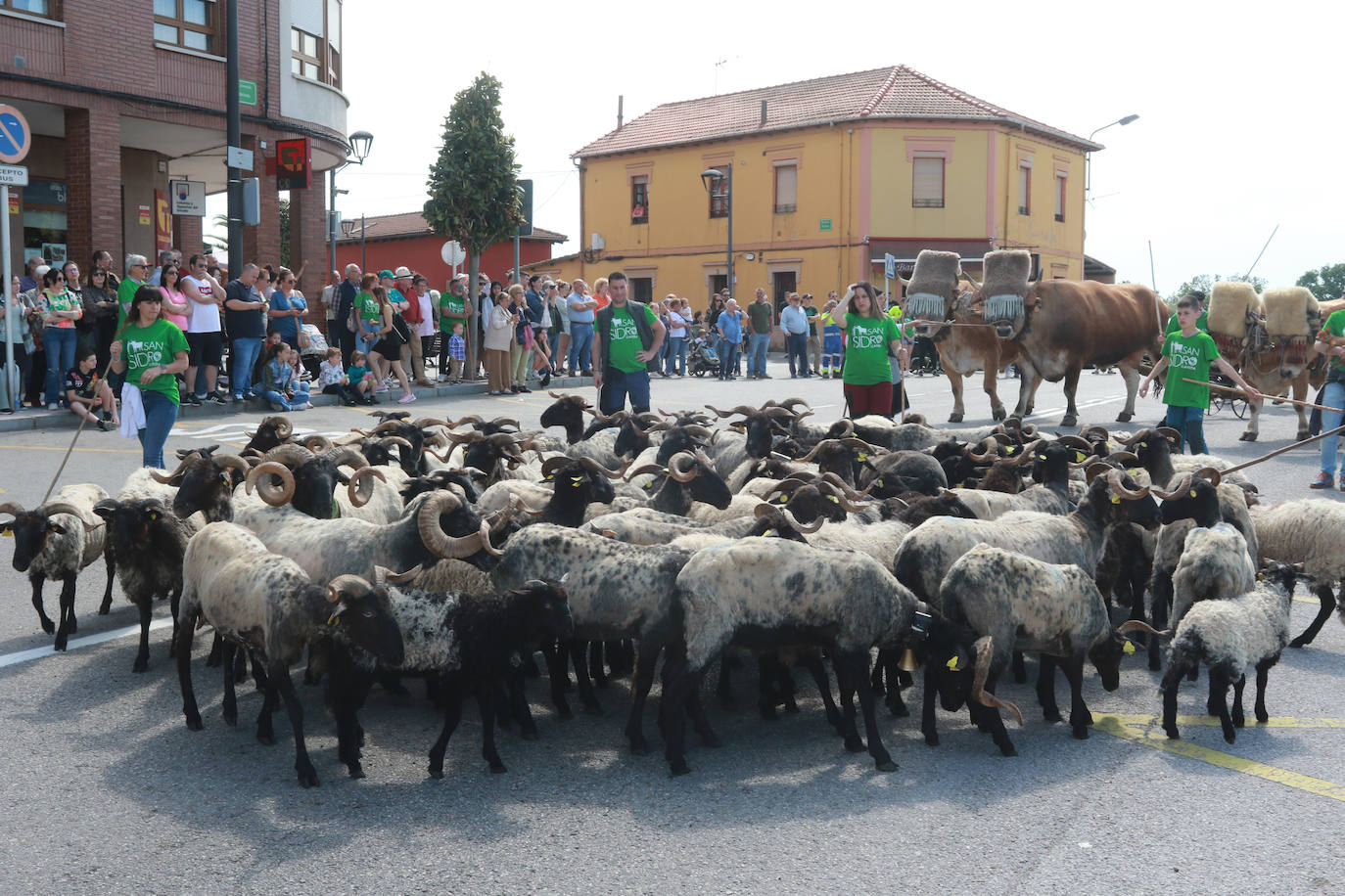 Llenazo en Llanera por la Feria del Ganado