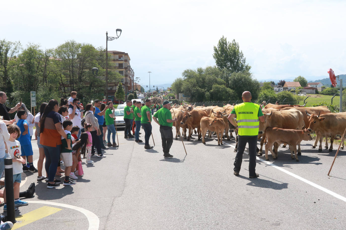 Llenazo en Llanera por la Feria del Ganado