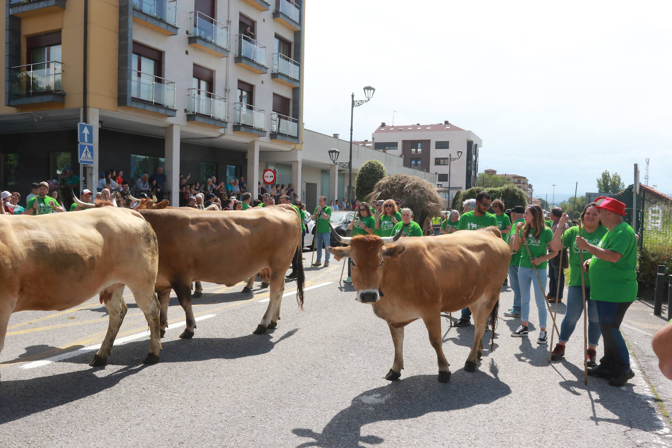 Llenazo en Llanera por la Feria del Ganado