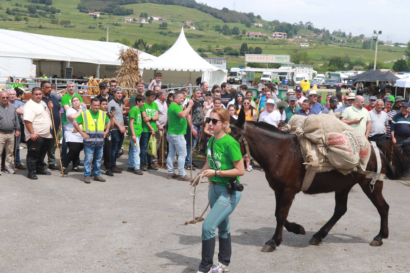 Llenazo en Llanera por la Feria del Ganado