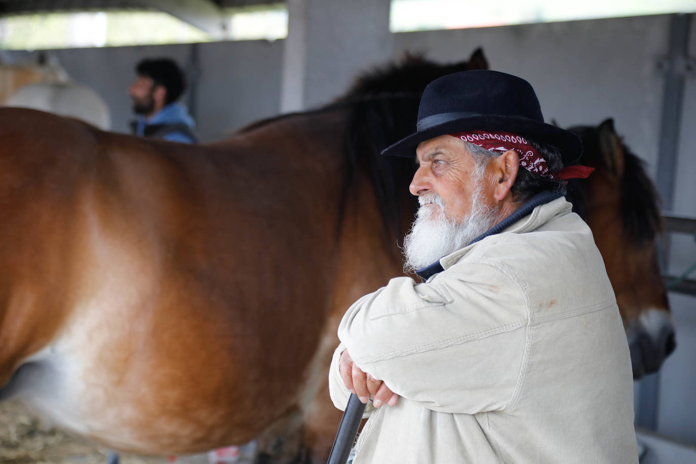 La feria de ganado de Llanera se supera