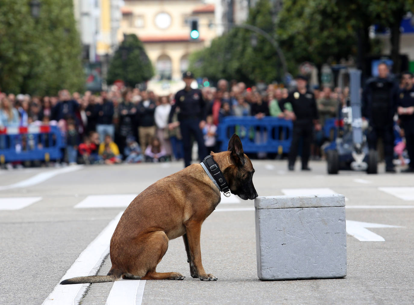 Las lecciones de la Policía Nacional en Oviedo