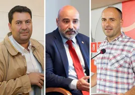 Iván Álvarez Raja, Santos Tejón y César González ganan peso en la ejecutiva del PSOE gijonés