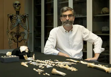 Antonio Rosas, ante el esqueleto original del pequeño neandertal.