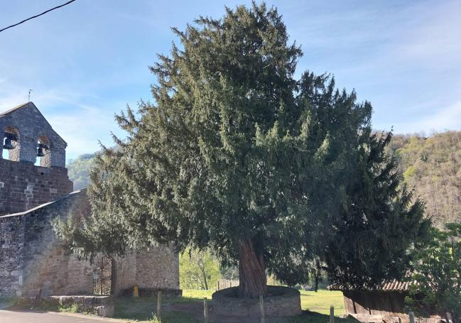 Texu y capilla en Santibañez de la Fuente