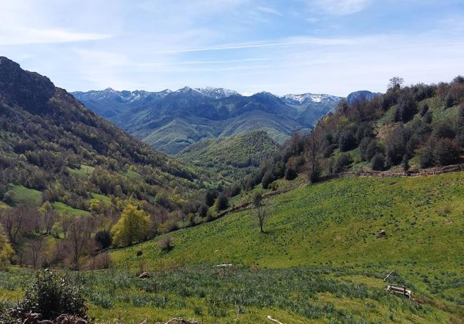 Además de buenas vistas a muchísimas montañas señeras de Asturias, los valles, los bosques, las majadas y las foces también son protagonistas en esta preciosa ruta