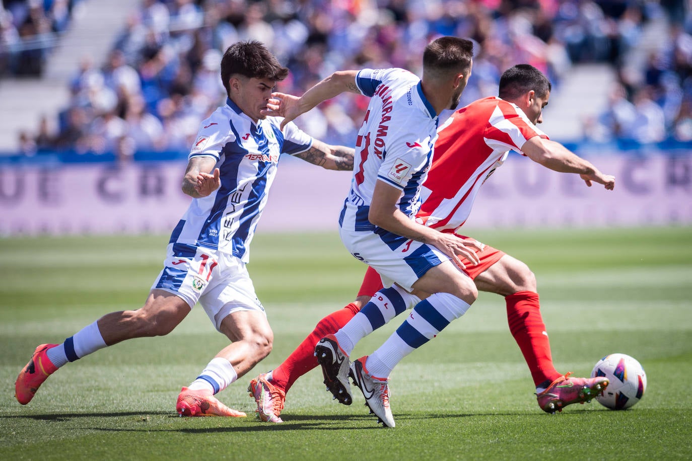 Las mejores imágenes del Leganés - Sporting