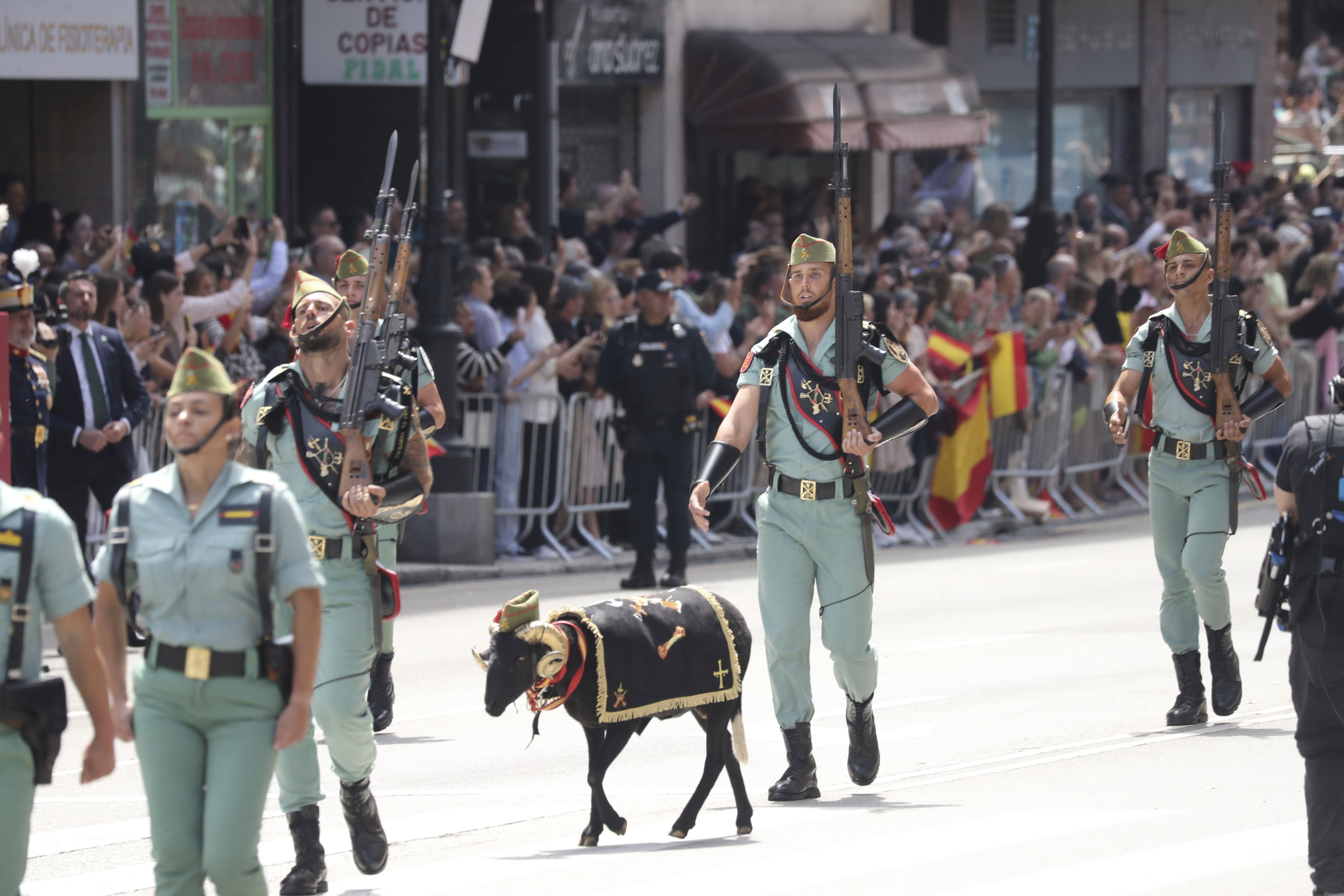 Magnífico desfile militar en un Oviedo hasta la bandera