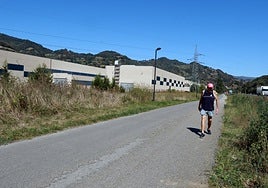 Factoría de Asturiana de Laminados en el área industrial de Villallana.