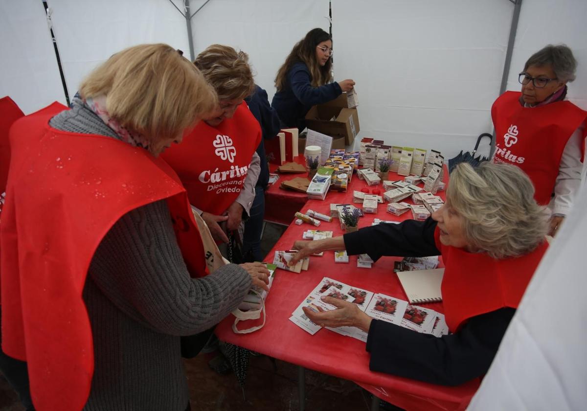 Voluntarios de Cáritas en la plaza de la Escandalera de Oviedo.