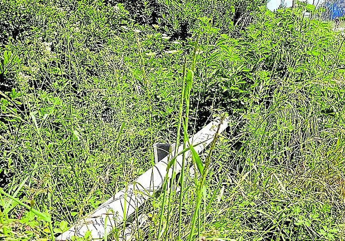 La maleza se ha comido ya parte de los carriles.