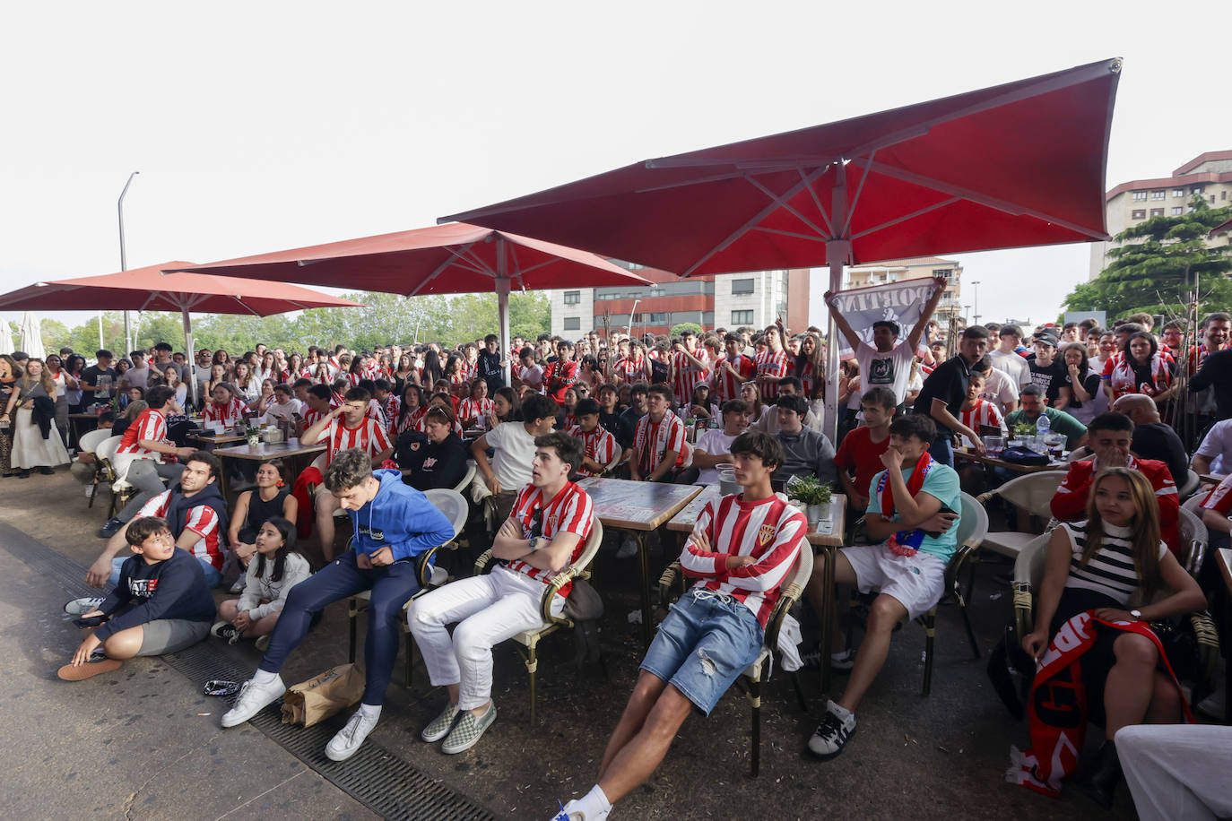 Éxtasis en Gijón tras la victoria del Sporting