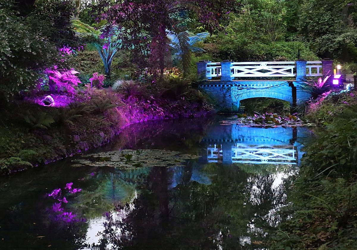 Iluminación de colores en el Jardín Botánico de Gijón.