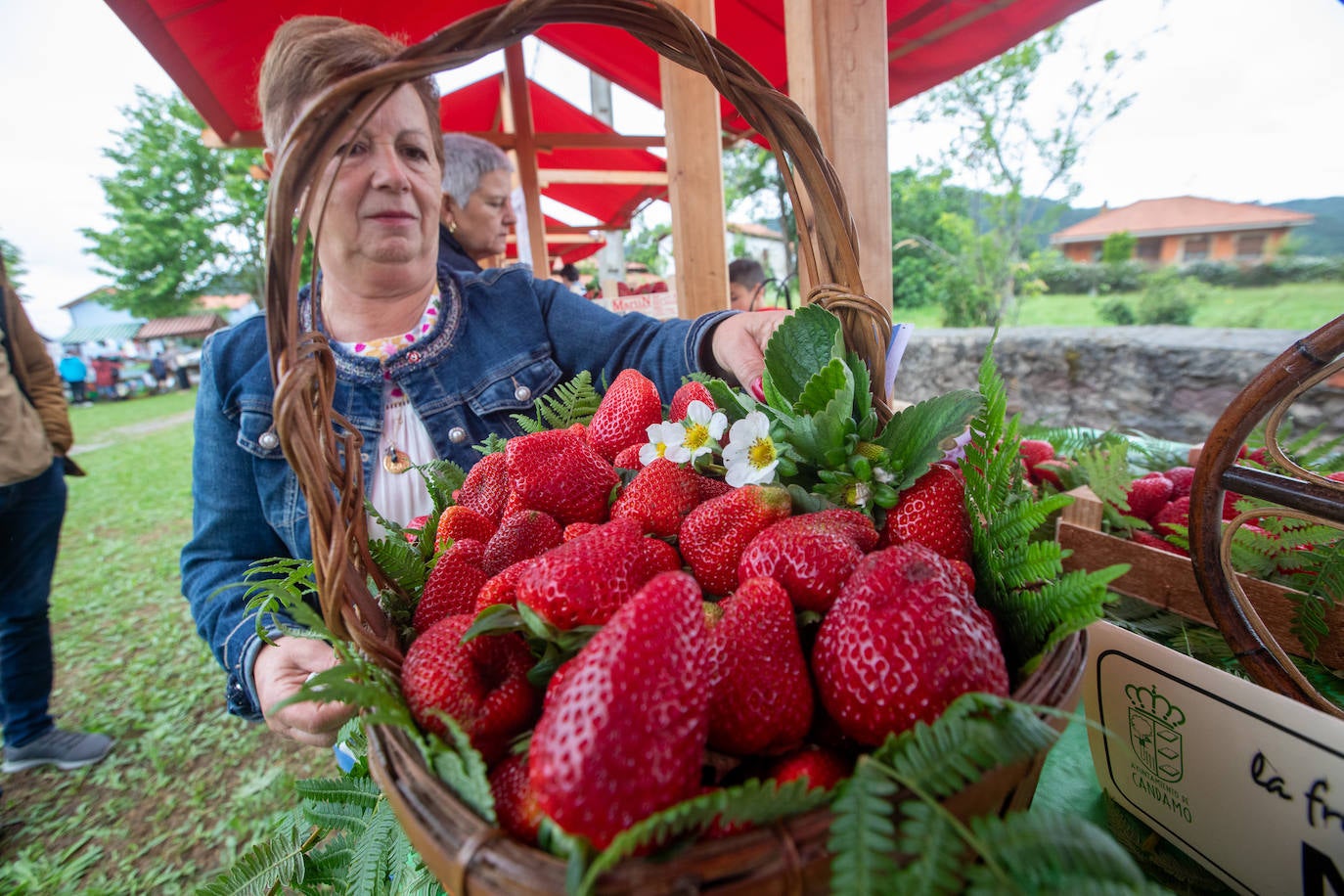 La fresa de Candamo cada año está mejor: un festival lleno de sabor