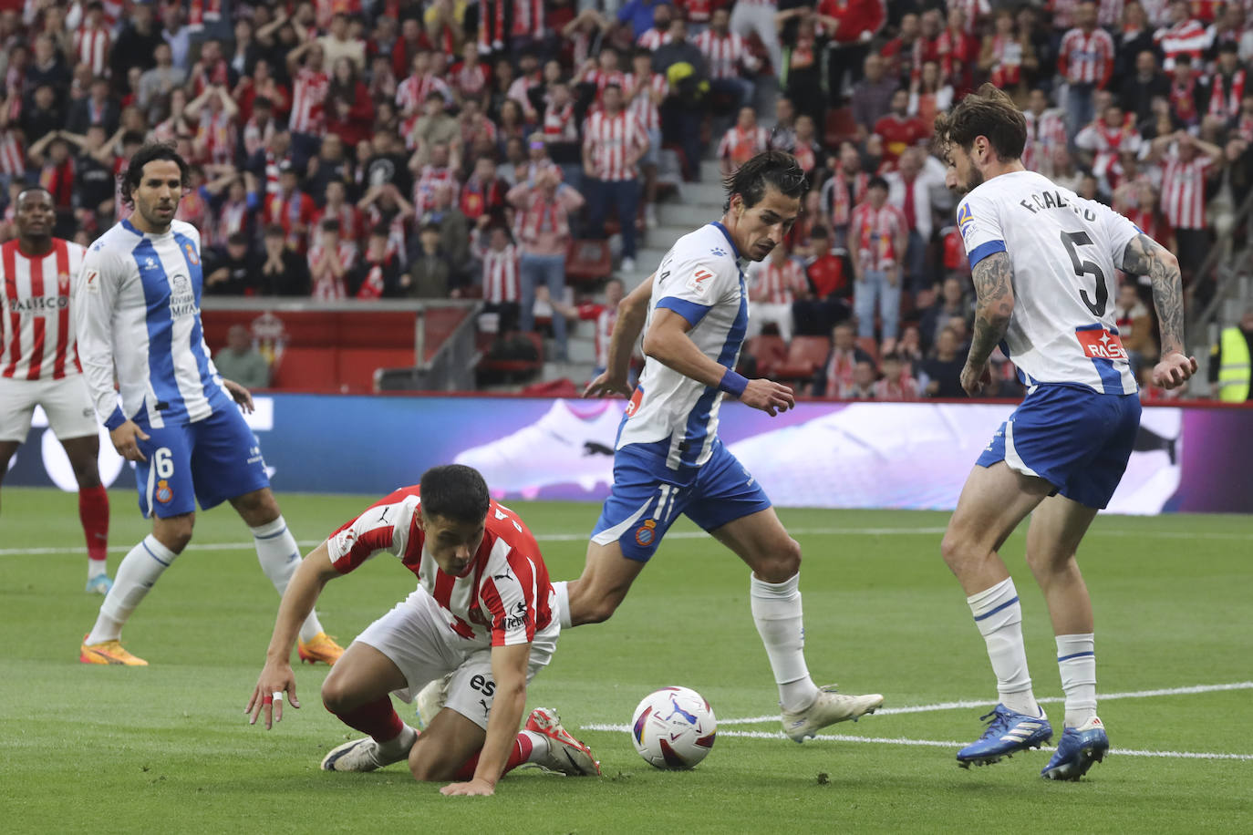 El Sporting no consiguió superar al Espanyol.