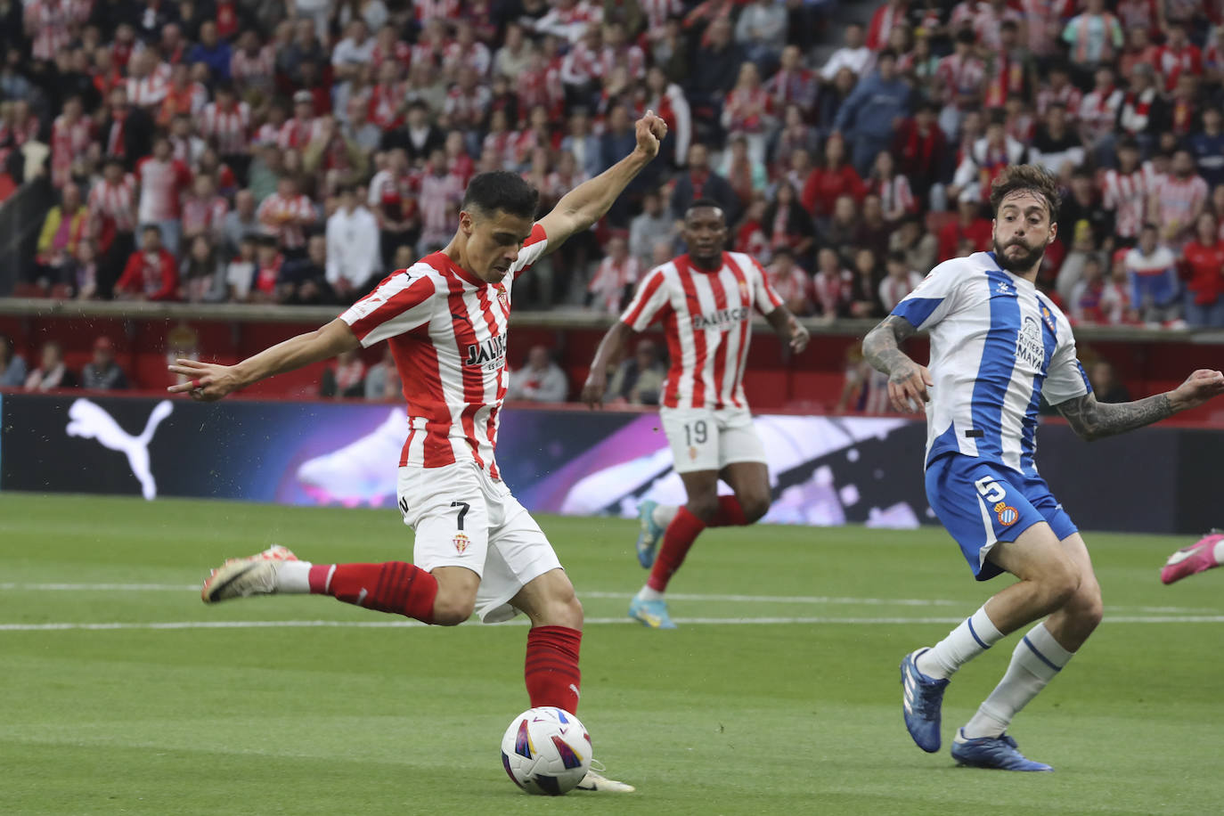 Las mejores imágenes del partido entre el Sporting y el Espanyol