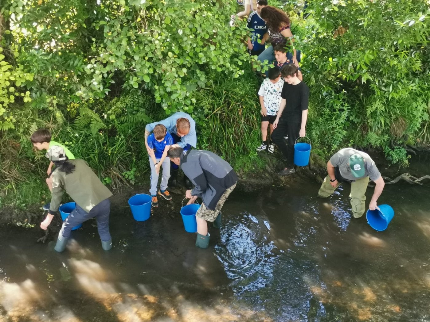 Ayudados por la Asociación Amigos del Nalón, los alumnos liberan los peces en el río.