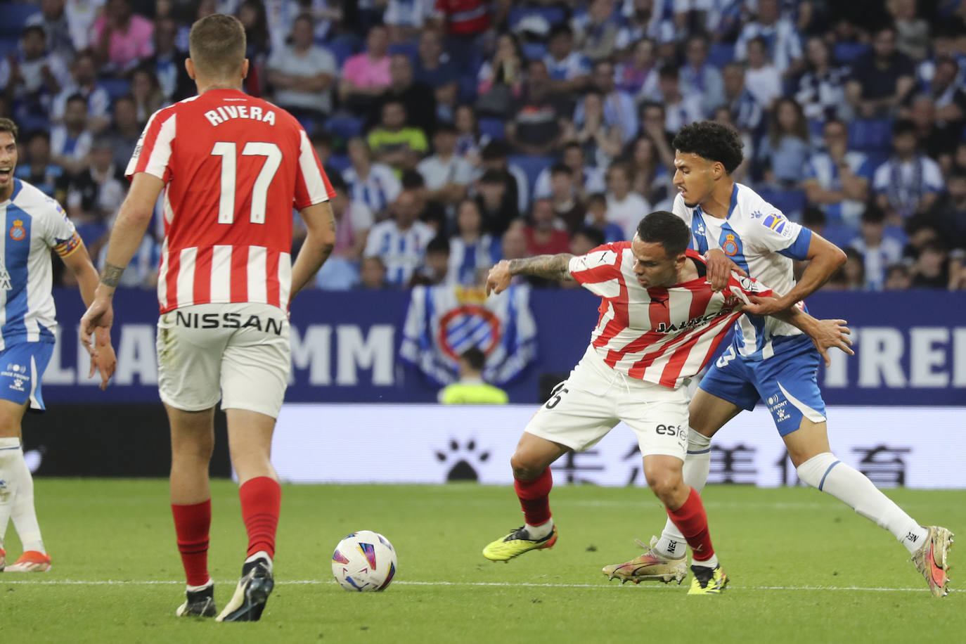 Las mejores imágenes del Espanyol - Sporting