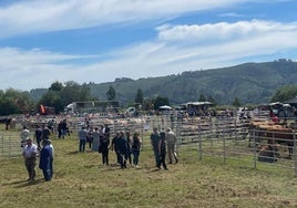 La explanada de el monte La Berruga resultó idónea para la celebración de la cita ganadera.