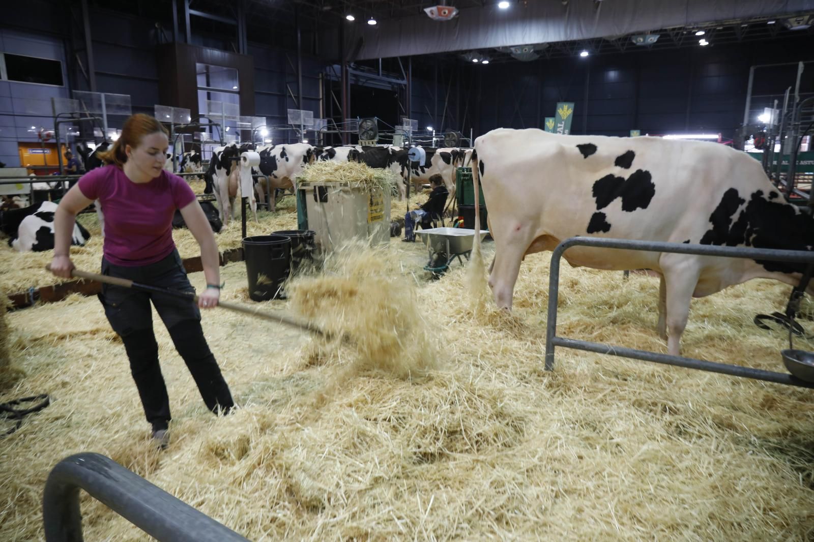 La Feria de San Antonio de Gijón, en imágenes