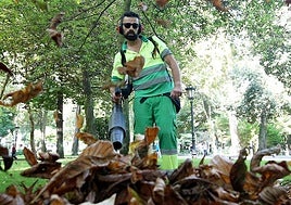 Un jardinero retirando las hojas en el Campo de San Francisco.