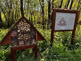Grado recupera el Jardín de las mariposas del río Cubia