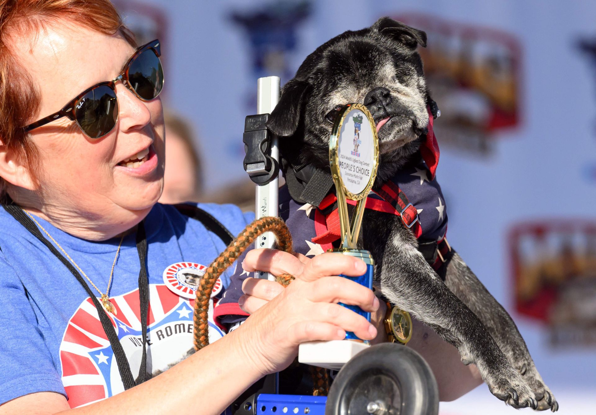 Y el perro más feo del mundo es...