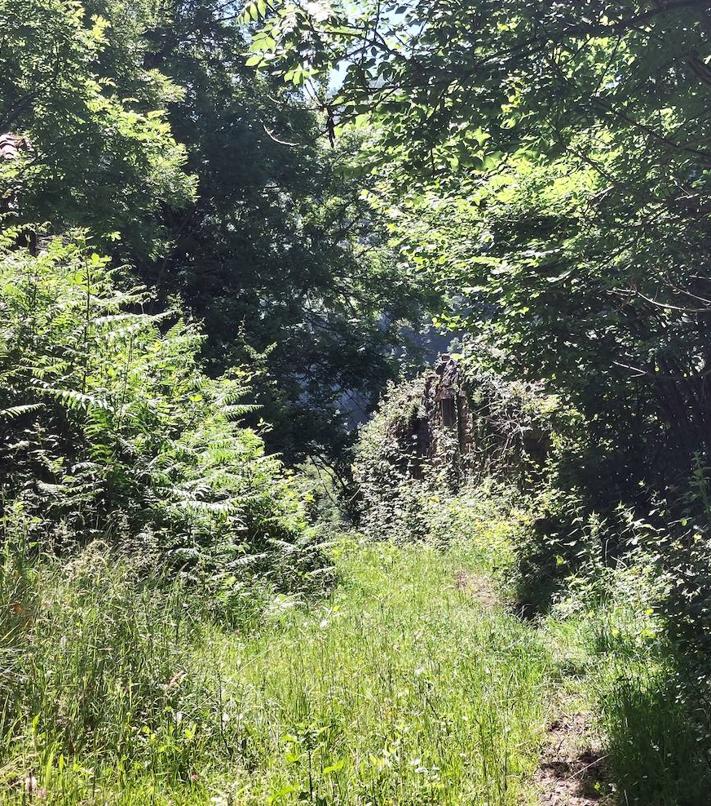 Imagen secundaria 2 - 1) Zona de la Texera y sendero entre verde y bosque hasta Vega Baxu. 2) Vega Baxu, un oasis entre montes ideal para una jornada de desconexión. 3) Zona de Vegariba, majada vecina de Vega Baxu y casi desaparecida.