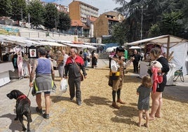 Mercado Clariniano, en la plaza Les Conserveres de Candás.