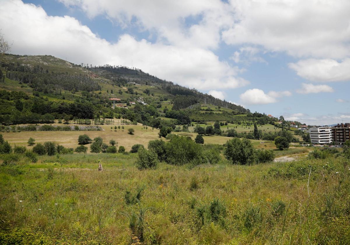 Una vista de la falda del monte Naranco.