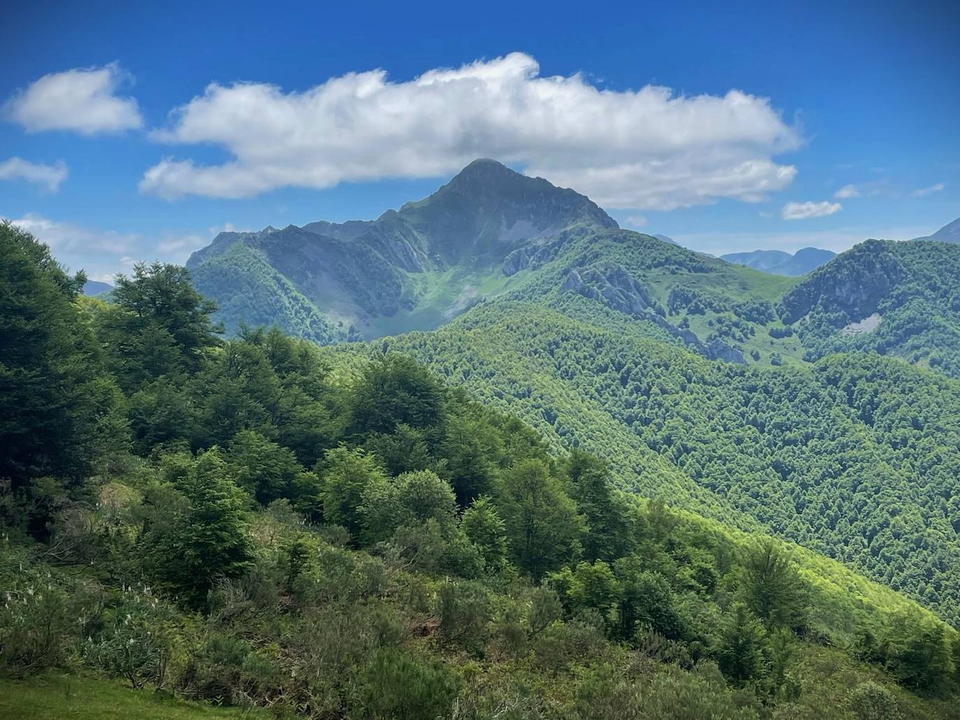 Entre bosques asturianos: los paisajes de la ruta a las cumbres del Maciedome y el Tiatordos