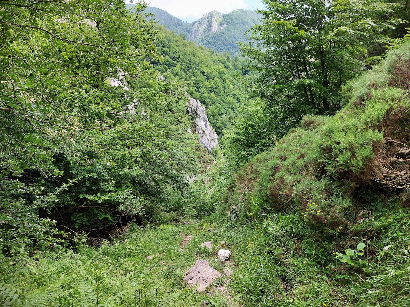 Entre bosques asturianos: los paisajes de la ruta a las cumbres del Maciedome y el Tiatordos