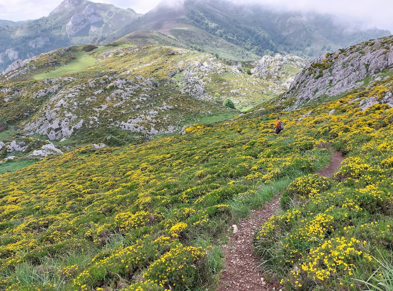 Entre bosques asturianos: los paisajes de la ruta a las cumbres del Maciedome y el Tiatordos