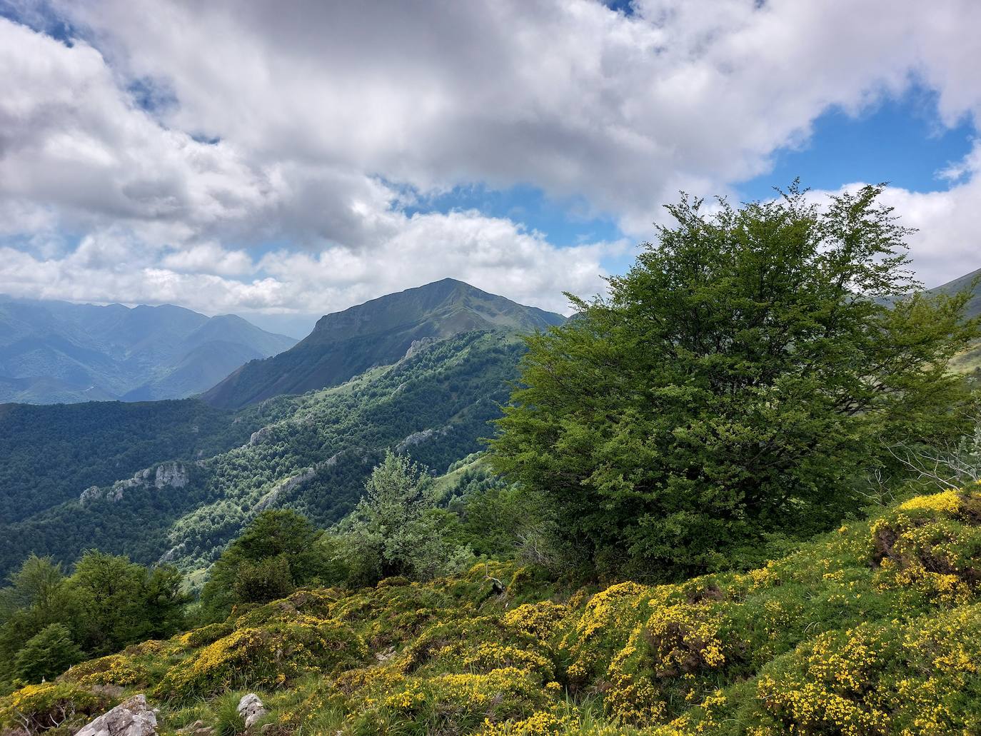 Entre bosques asturianos: los paisajes de la ruta a las cumbres del Maciedome y el Tiatordos