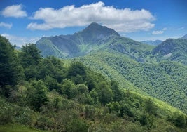 Vistas al Tiatordos rodeado de frondosos bosques.