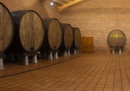 Vive una experiencia única e inmersiva para conocer a fondo la cultura sidrera