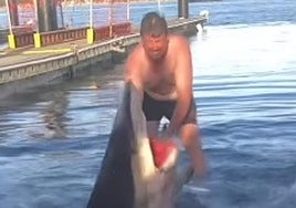 El hombre intentando llevar al tiburón al agua para nadar con él.