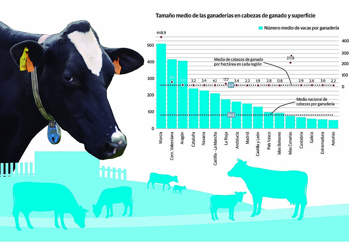 Las ganaderías asturianas son las menos productivas de España