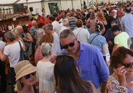 Fiestas de El Carmen en Llantones.