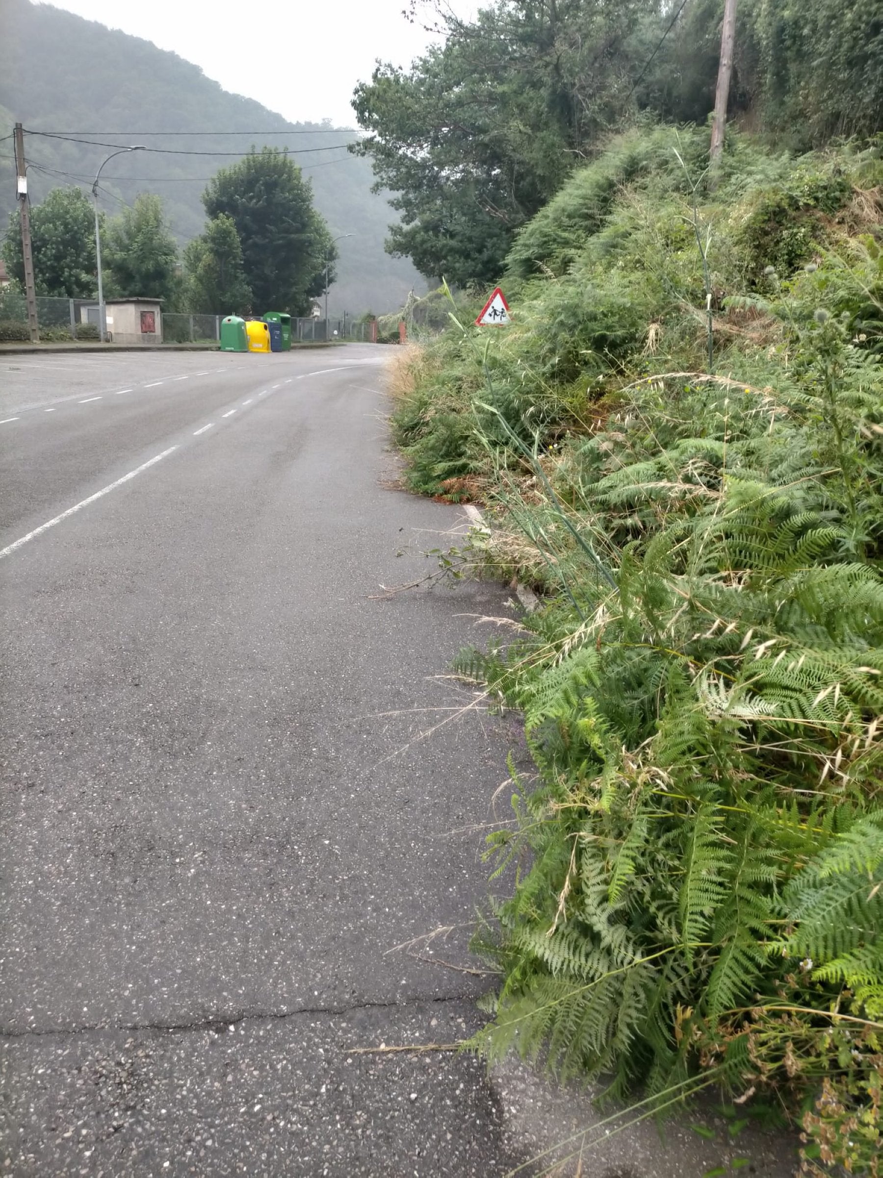 Tramos de la vía con maleza.