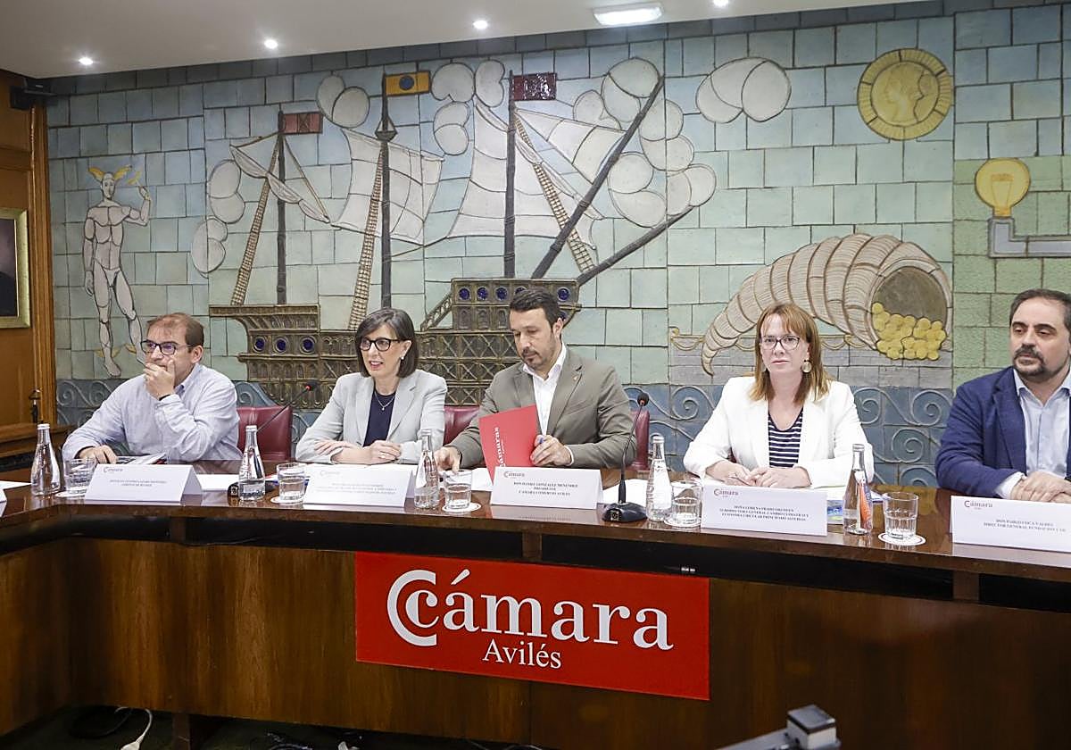 Nieves Roqueñí, segunda por la izquierda, en las jornadas de ayer de la Cámara.