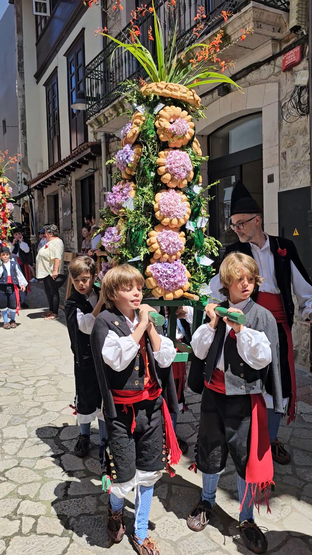 El triunfo de los claveles en Llanes